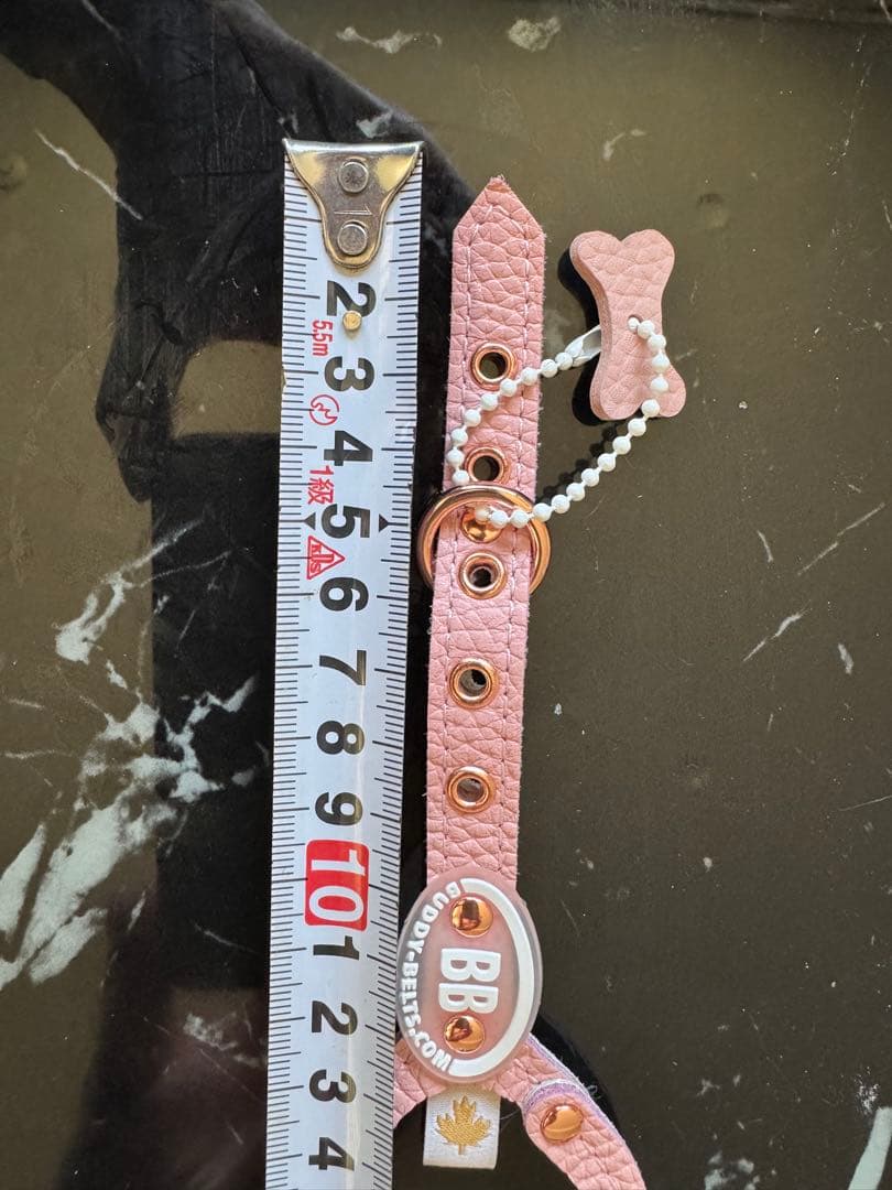 バディベルト　bb ハーネス・リード6点セット