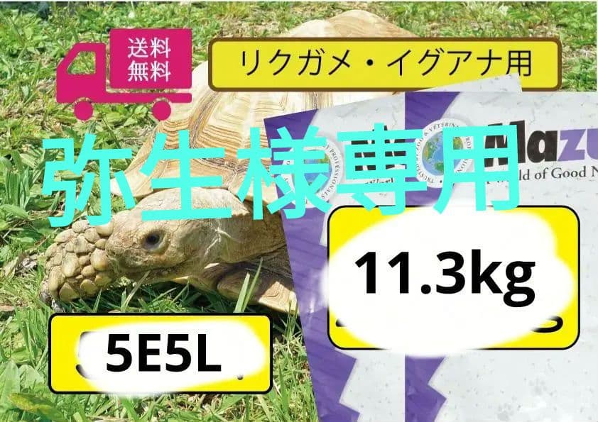 【マズリ】トータスダイエット5Ｍ21 mazuri 11.3kg×2袋