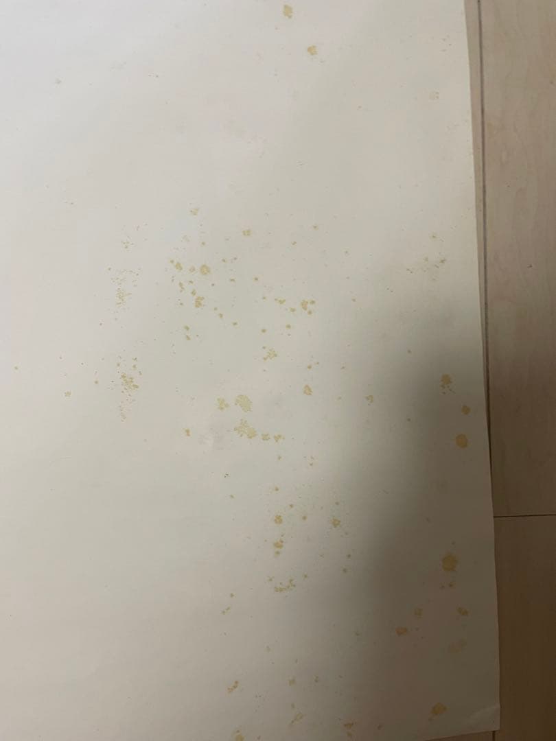 ken yokoyama 横山健　鬼レア！1stアルバムポスター