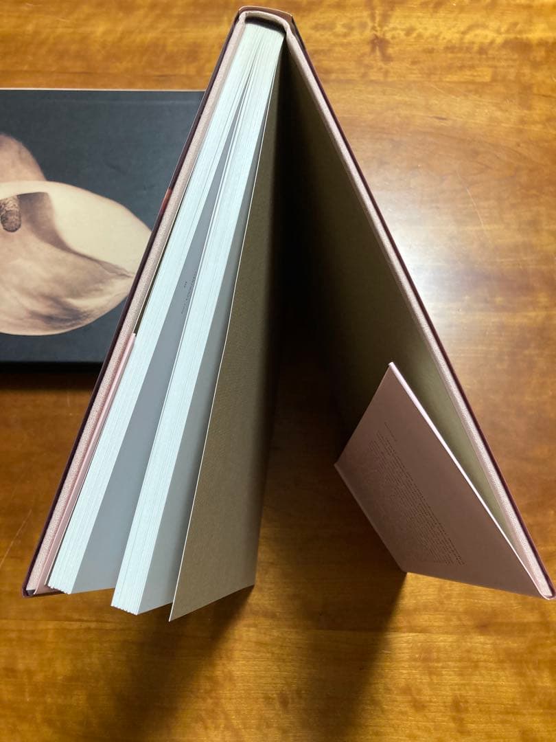 【PISTILS】Robert Mapplethorpeロバート・メイプルソープ