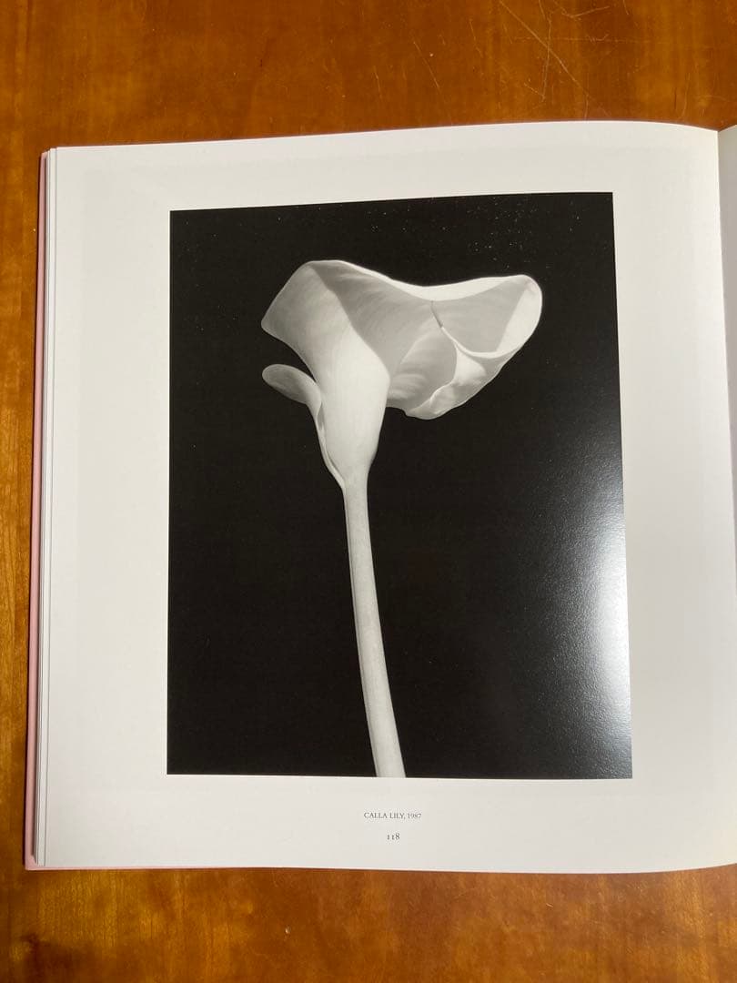 【PISTILS】Robert Mapplethorpeロバート・メイプルソープ