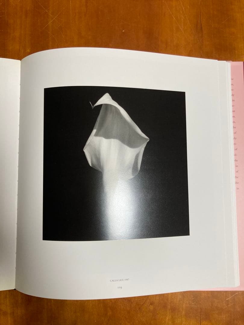 【PISTILS】Robert Mapplethorpeロバート・メイプルソープ