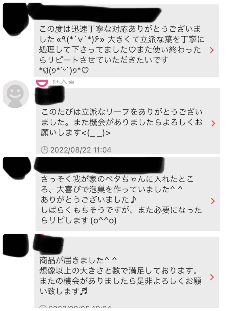 沖縄県やんばる産マジックリーフ 2kg UV殺菌灯照射済み①