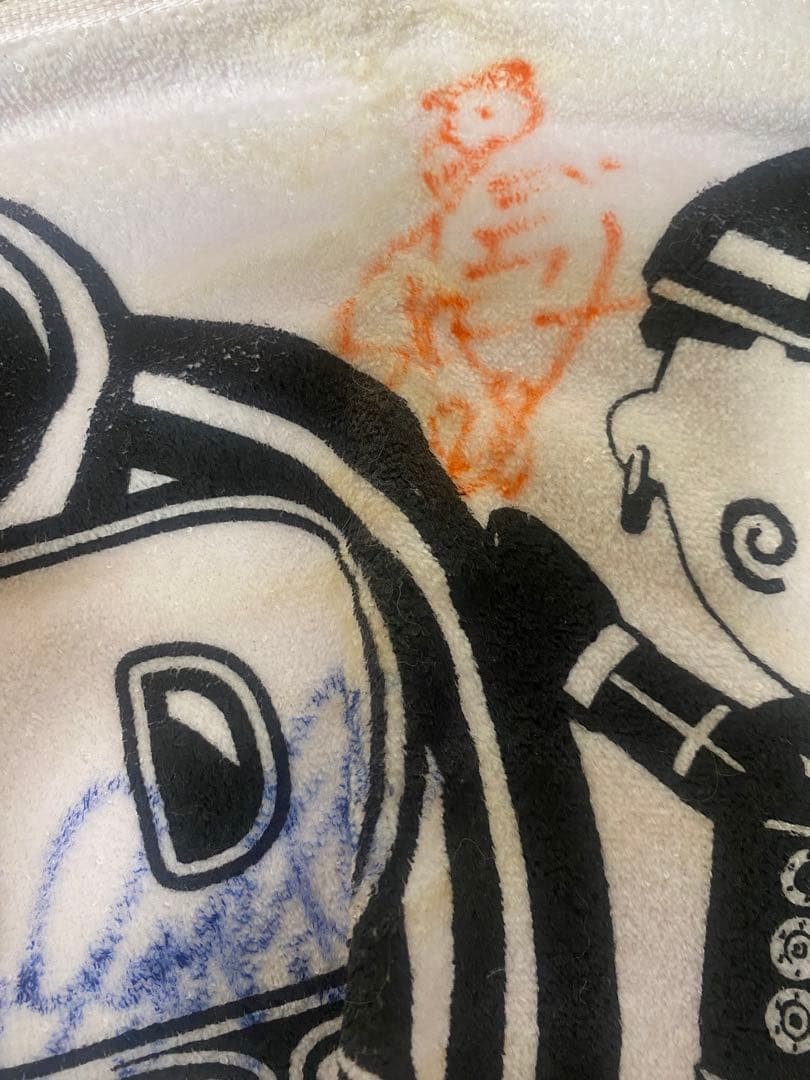 48グループ　直筆サインタオル