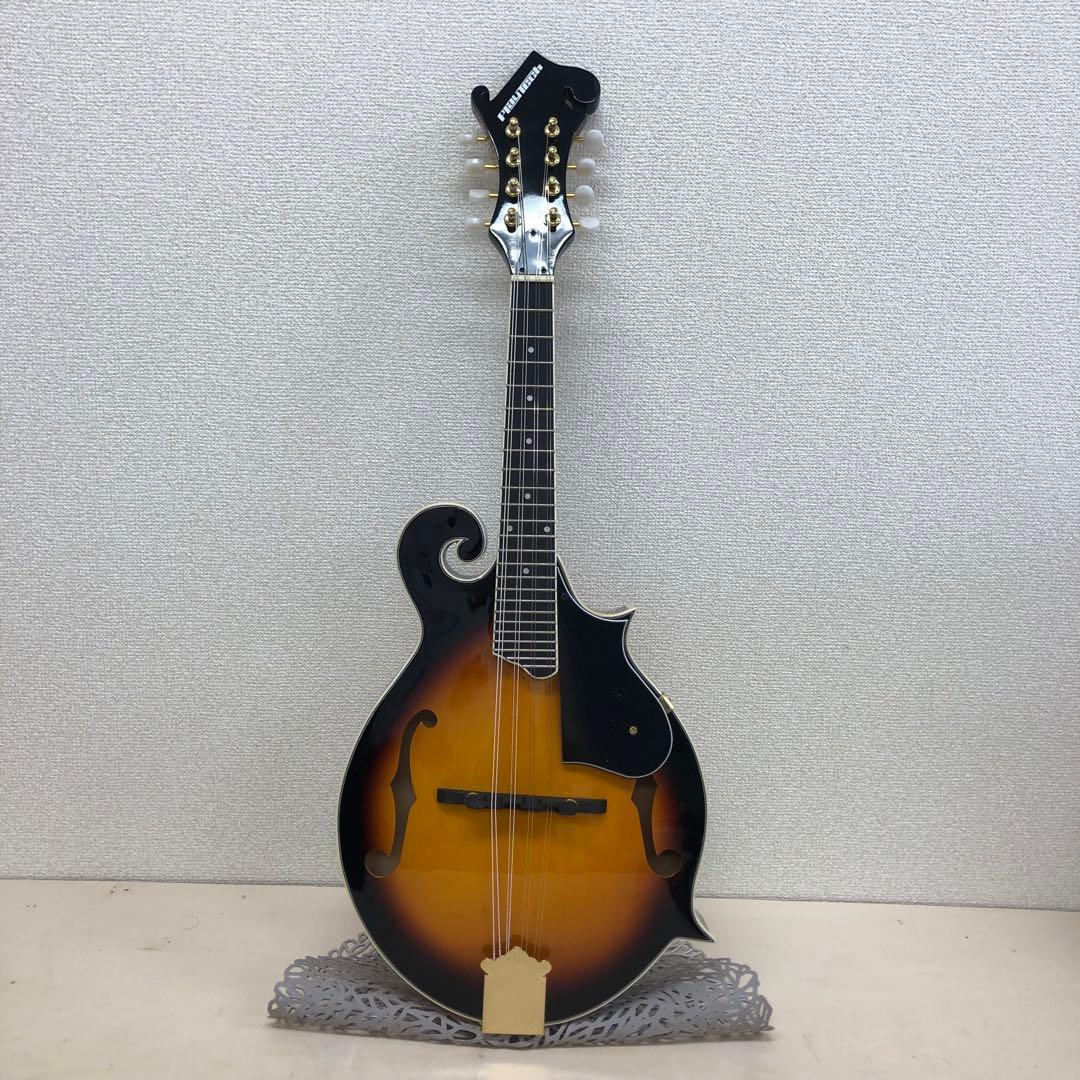 PLAY TECH プレイテック F型 マンドリン ハードケース付き