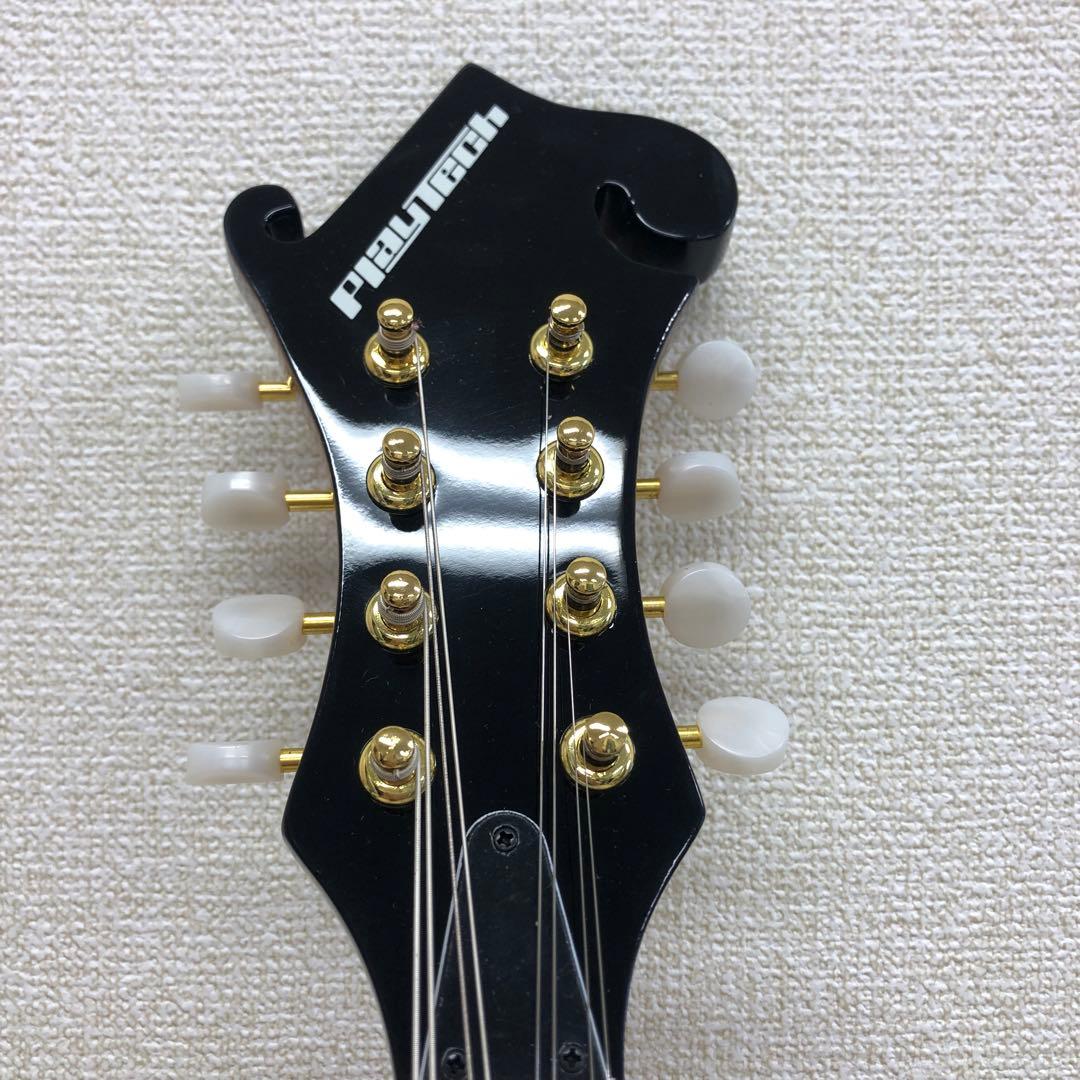 PLAY TECH プレイテック F型 マンドリン ハードケース付き