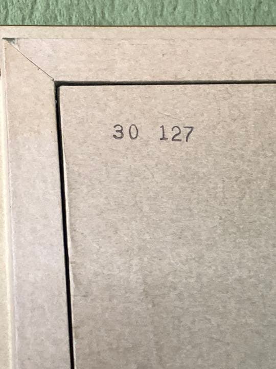 油彩額縁 作品サイズ 約730×607mm ゴールド