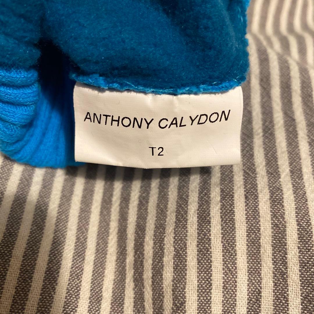 ANTHONY CALYDON 青 手袋
