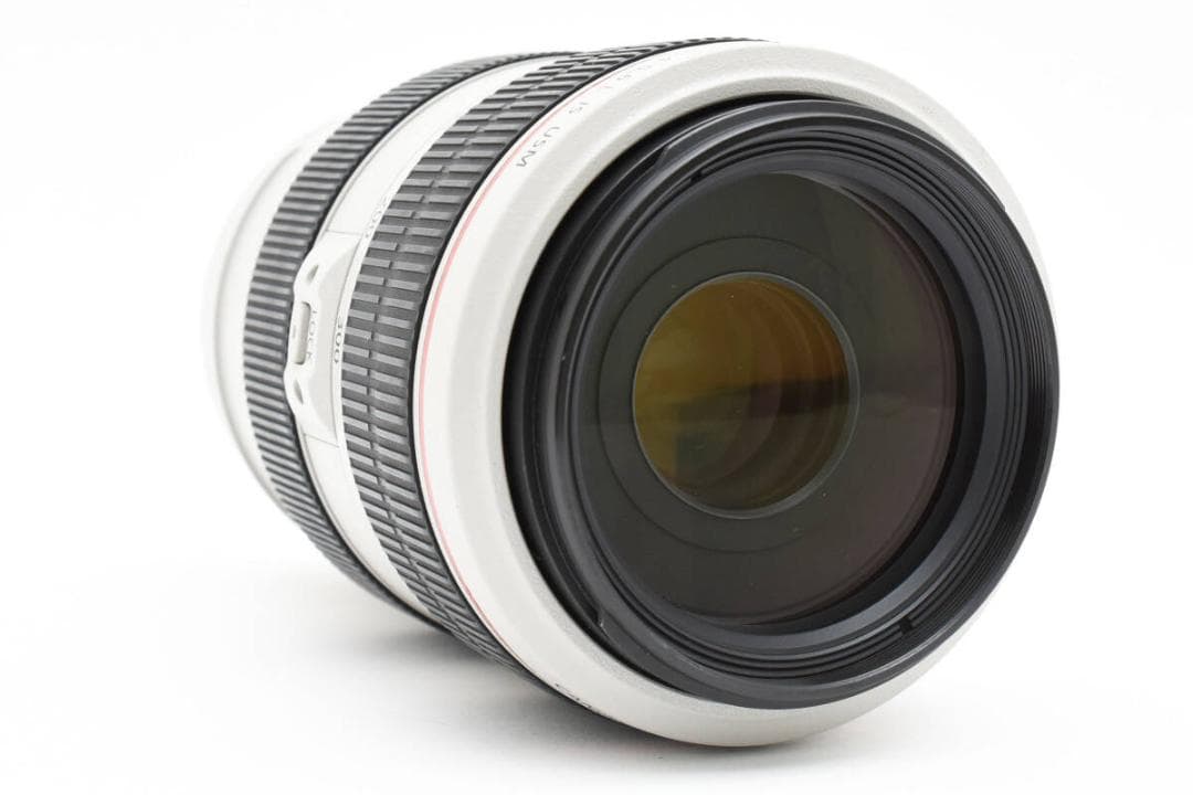 美品 Canon EF 70-300mm F4-5.6 L IS USM 元箱付
