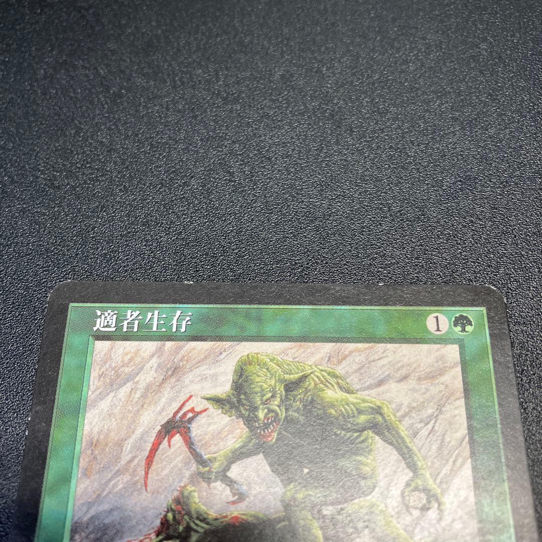 MTG 適者生存　日本語　再録禁止