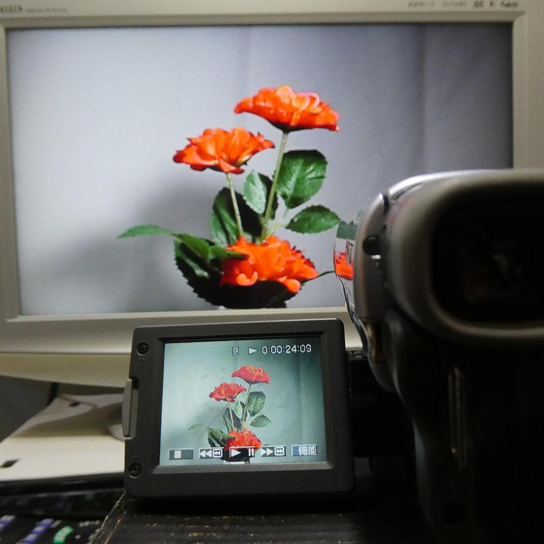 動作品 ソニーDCR-TRV33 MiniDV ビデオカメラ DVDダビングに