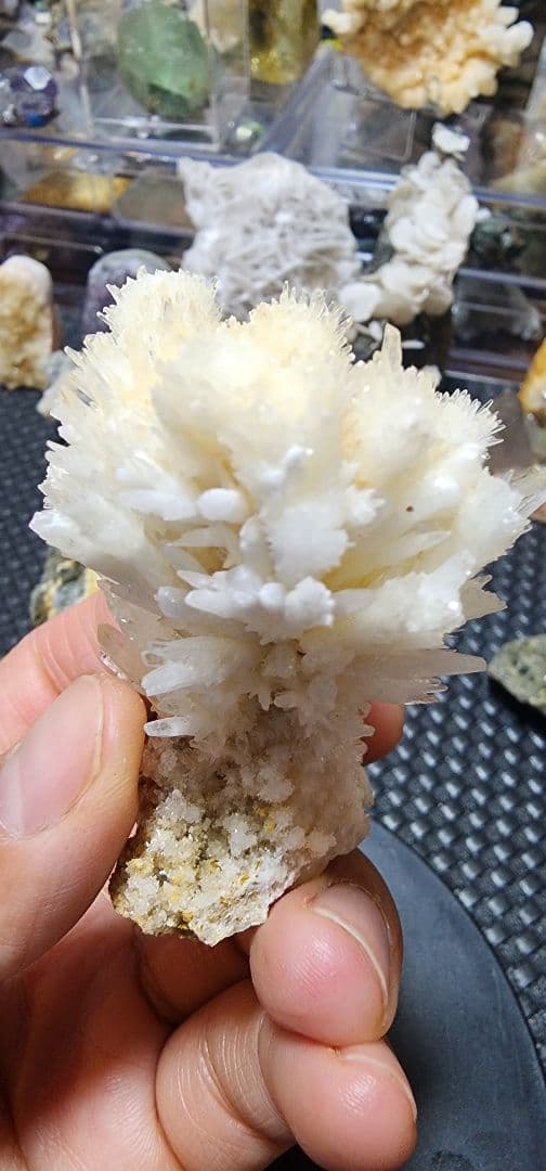 白いアラゴナイトの花