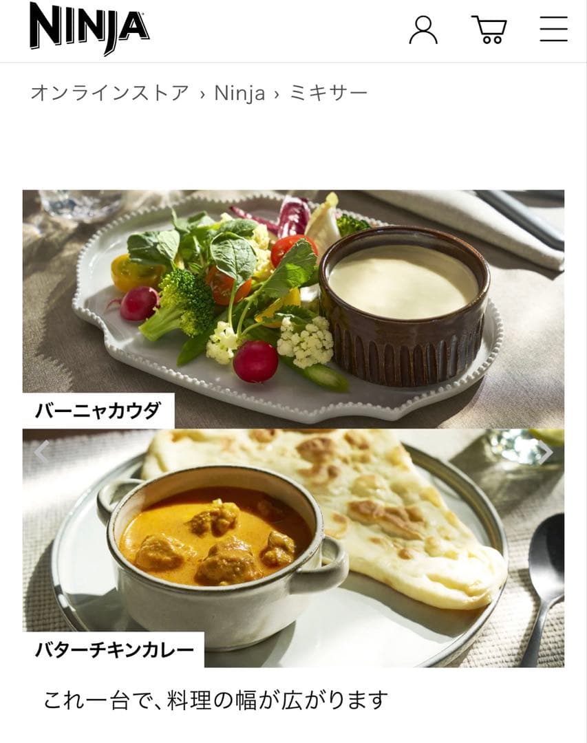 【新品】NINJA STELTH IQ QX201J ミキサー　ブレンダー