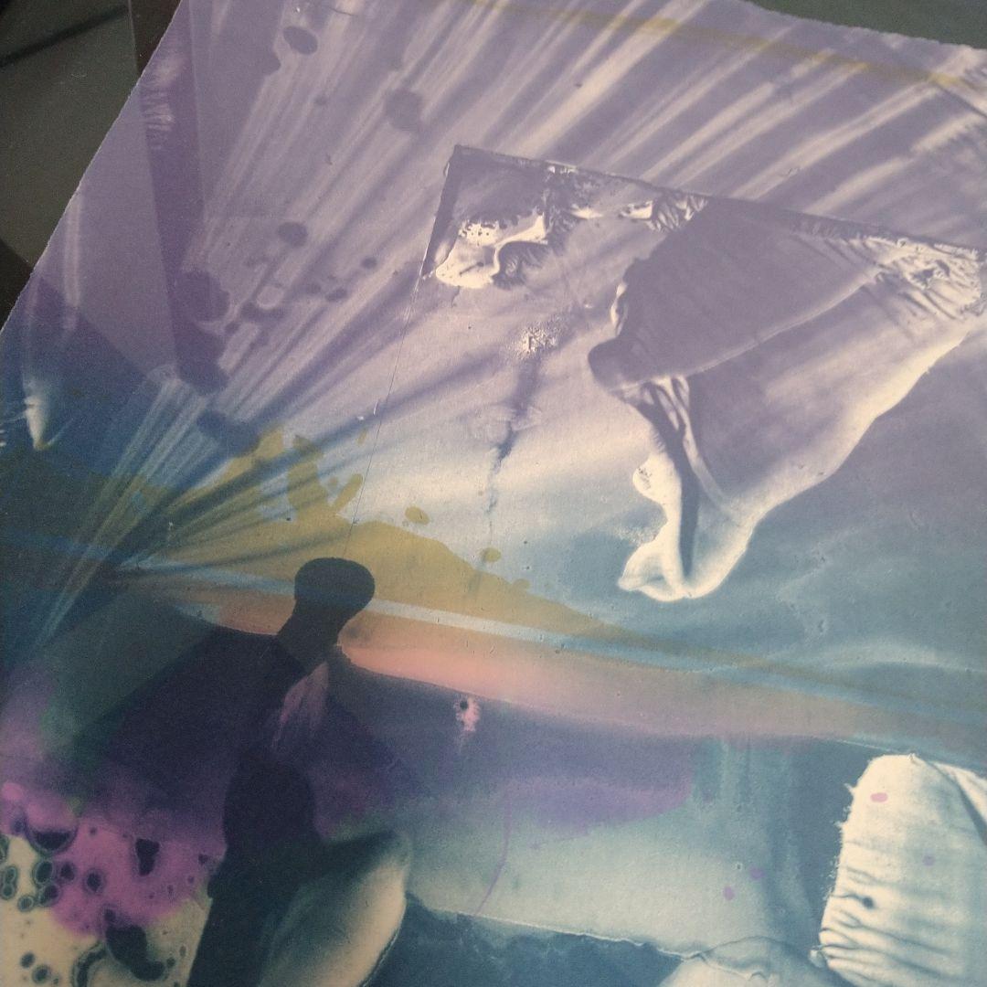 紫綬褒章受賞　【加納光於】　額装66×79cm　限定版