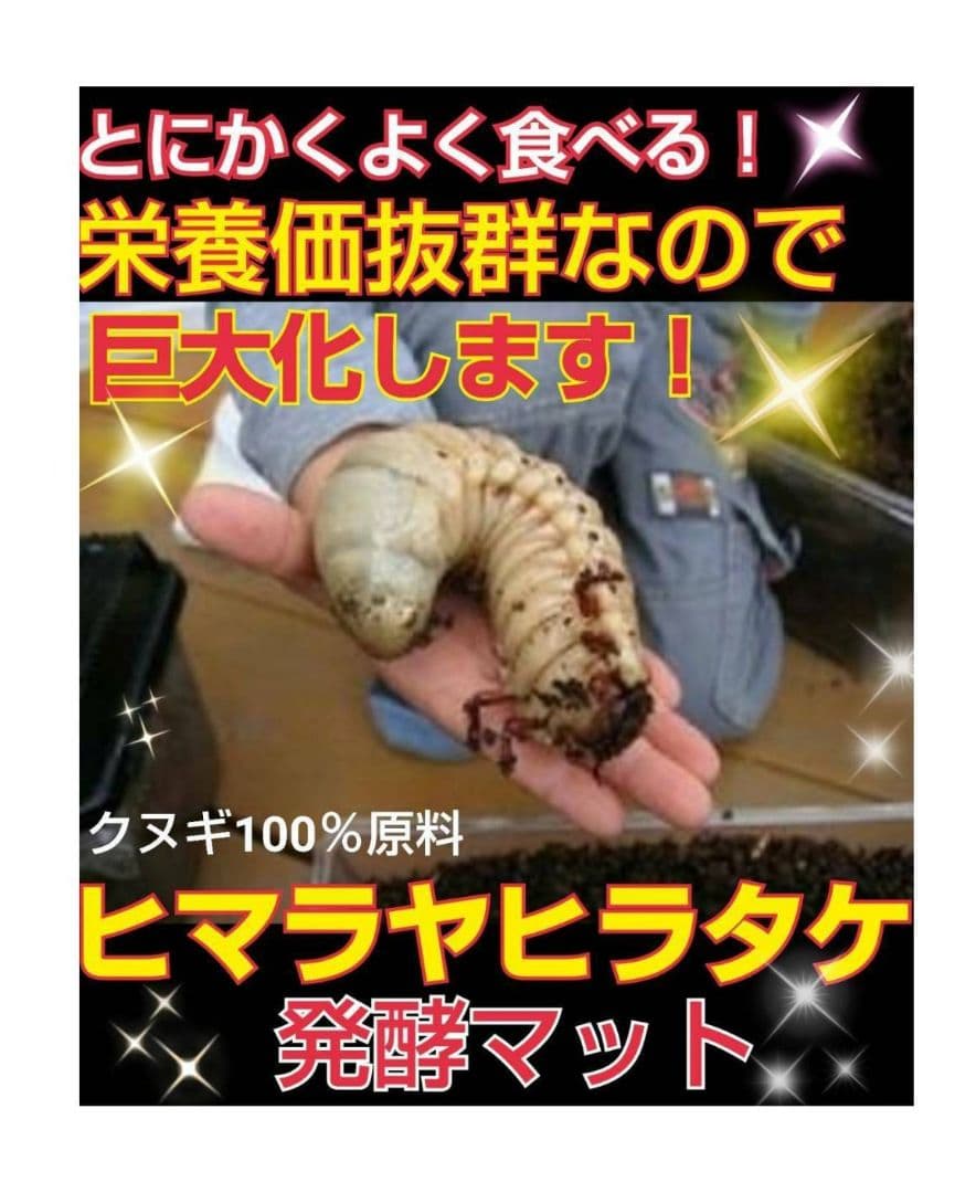 カブトムシ幼虫に抜群！ヒマラヤひらたけ発酵マット【6袋セット】大きく育ちます！
