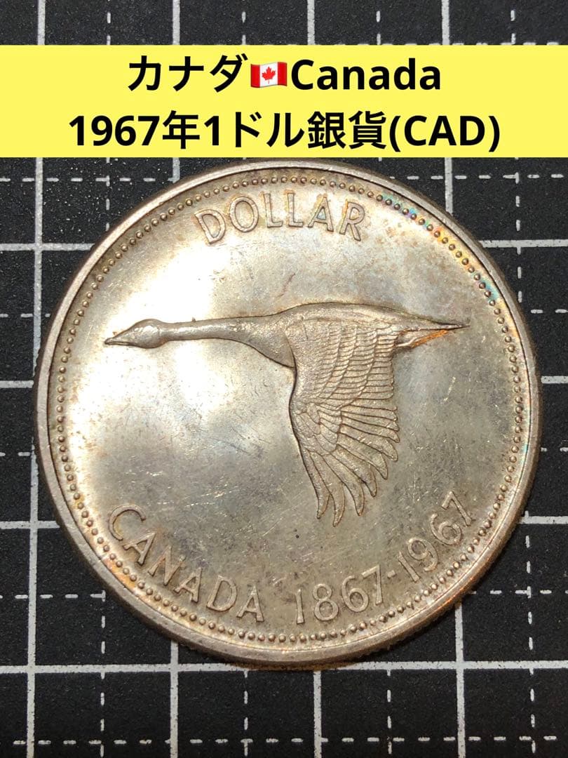 N4279【カナダ・銀貨】1967年1ドル　外貨　硬貨　古銭　　銀貨