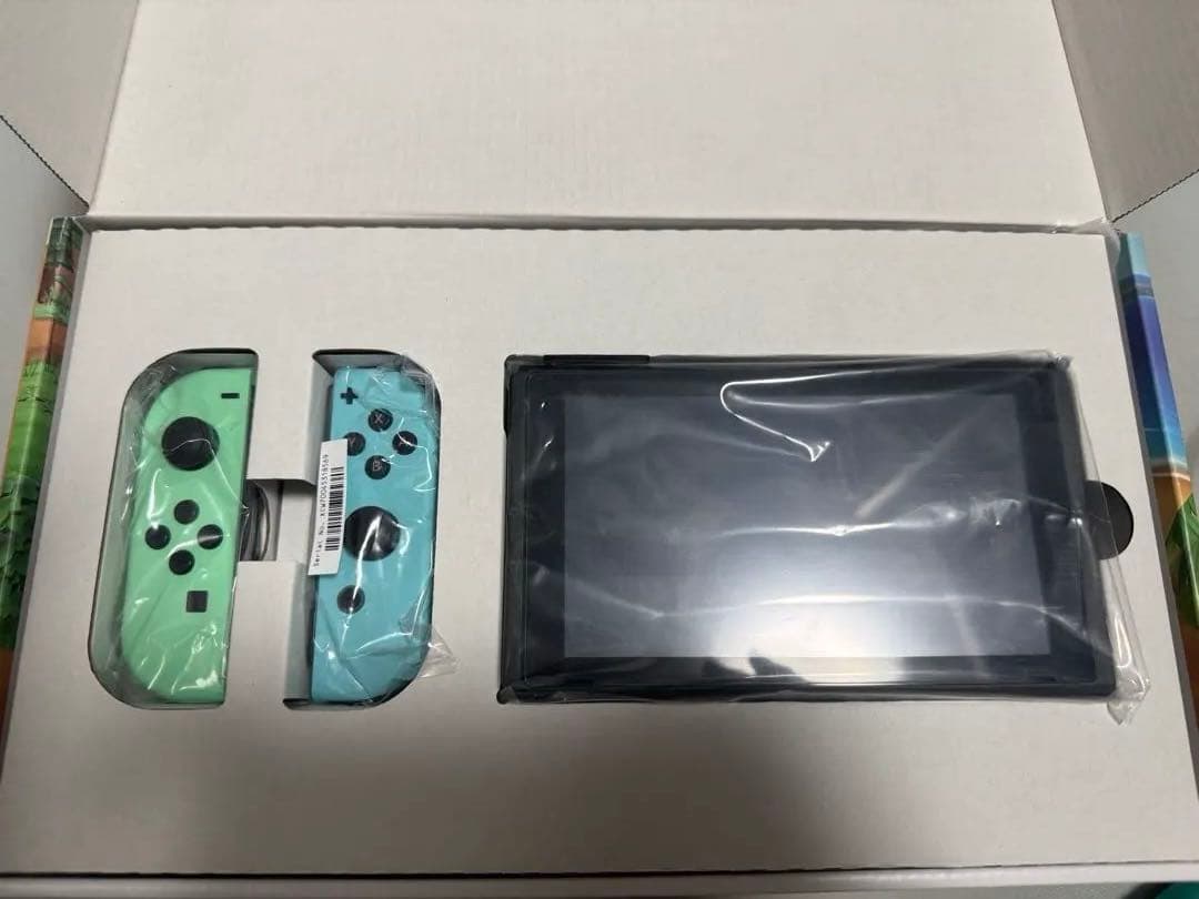 Nintendo Switch あつまれどうぶつの森 デザイン