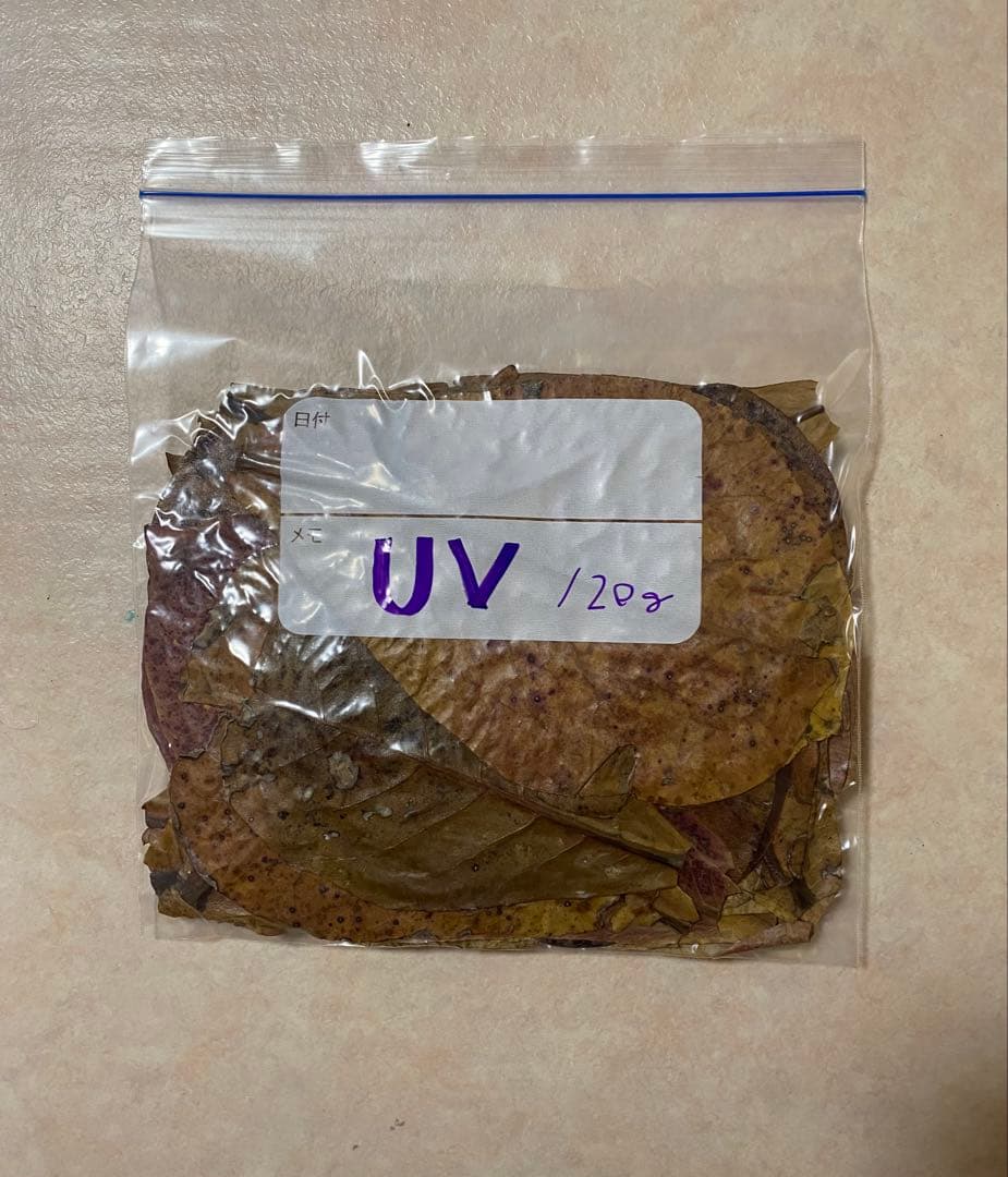 沖縄県やんばる産マジックリーフ 1kg UV殺菌灯照射済み⑤