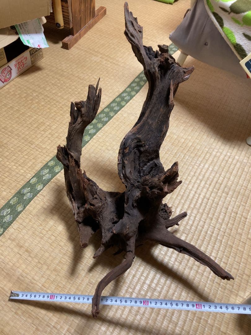ホーンウッド　ada アクアリウム　流木　水草レイアウト　水槽