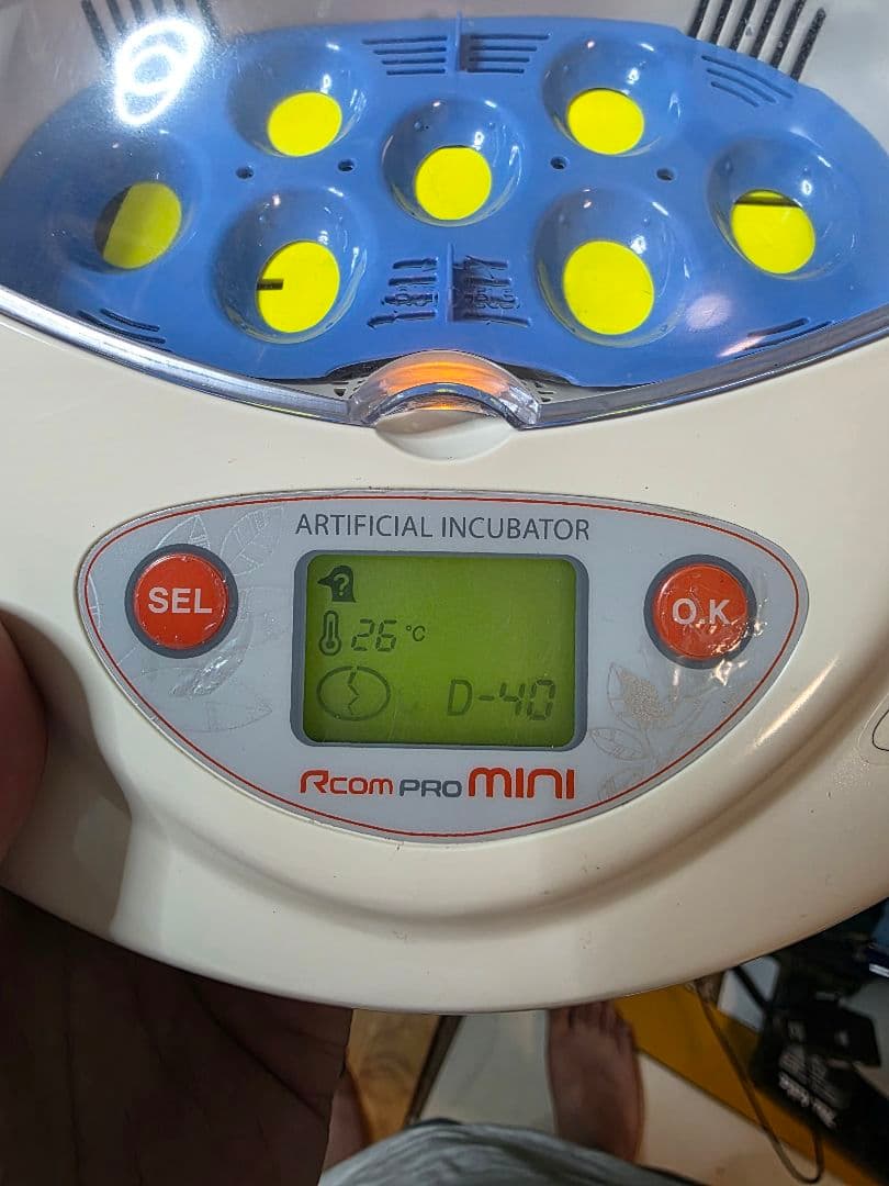 爬虫類　鳥類　哺乳類　Rcom リトルママ　PX-03