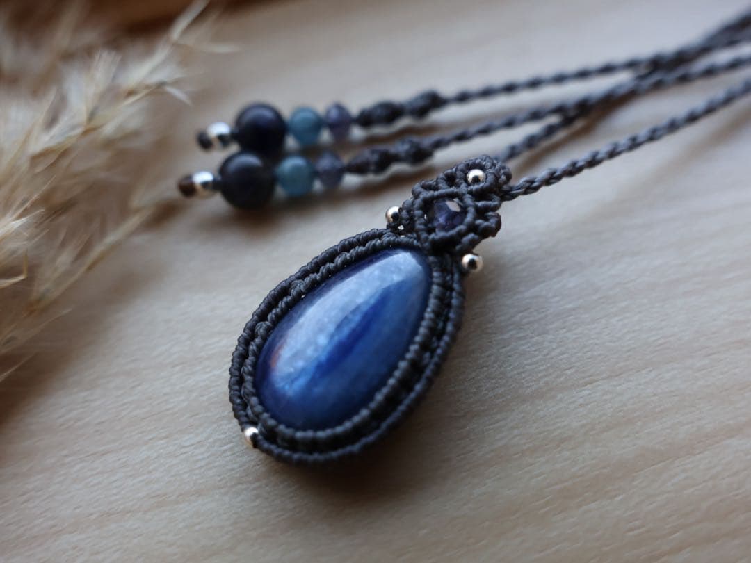 でんちゃん 11/8