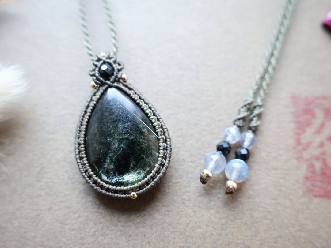 でんちゃん 11/8