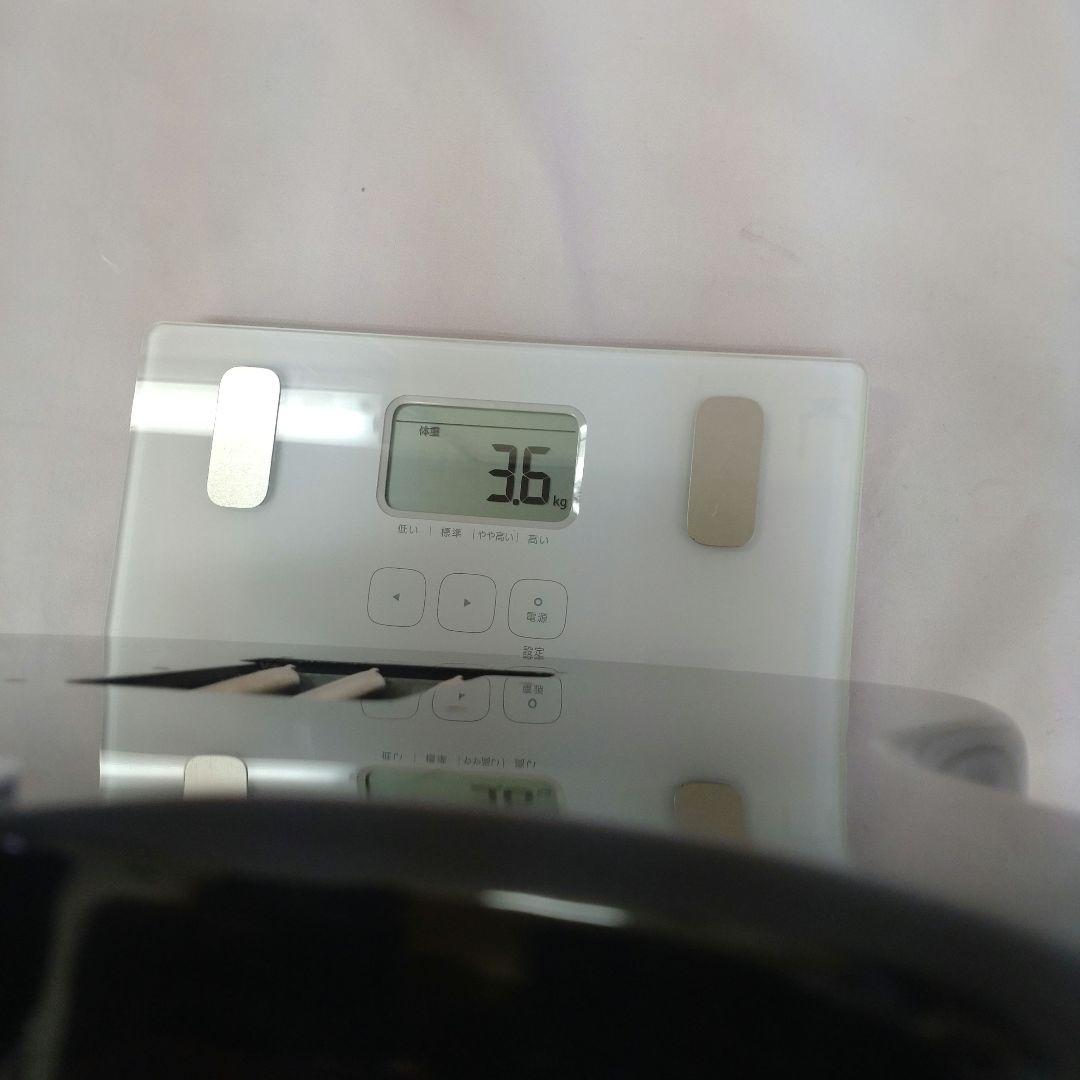 FERNANDES Limited Edition フェルナンデス ストラト