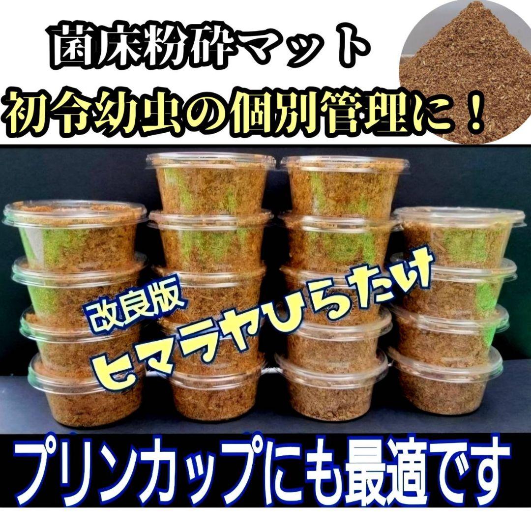 菌床粉砕クワガタマット【30L】ボトルやカップに詰めるだけ！菌糸瓶より経済的！