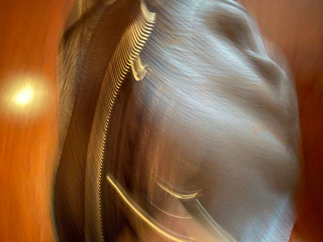 セリーヌ ブラウンレザーショルダーバッグ