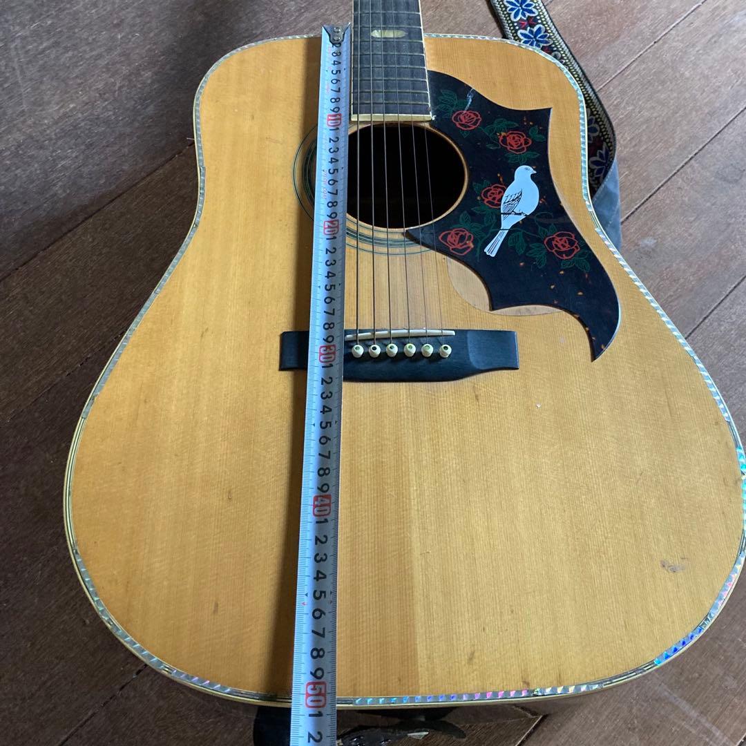 スズキバイオリンギター　THREES W-200