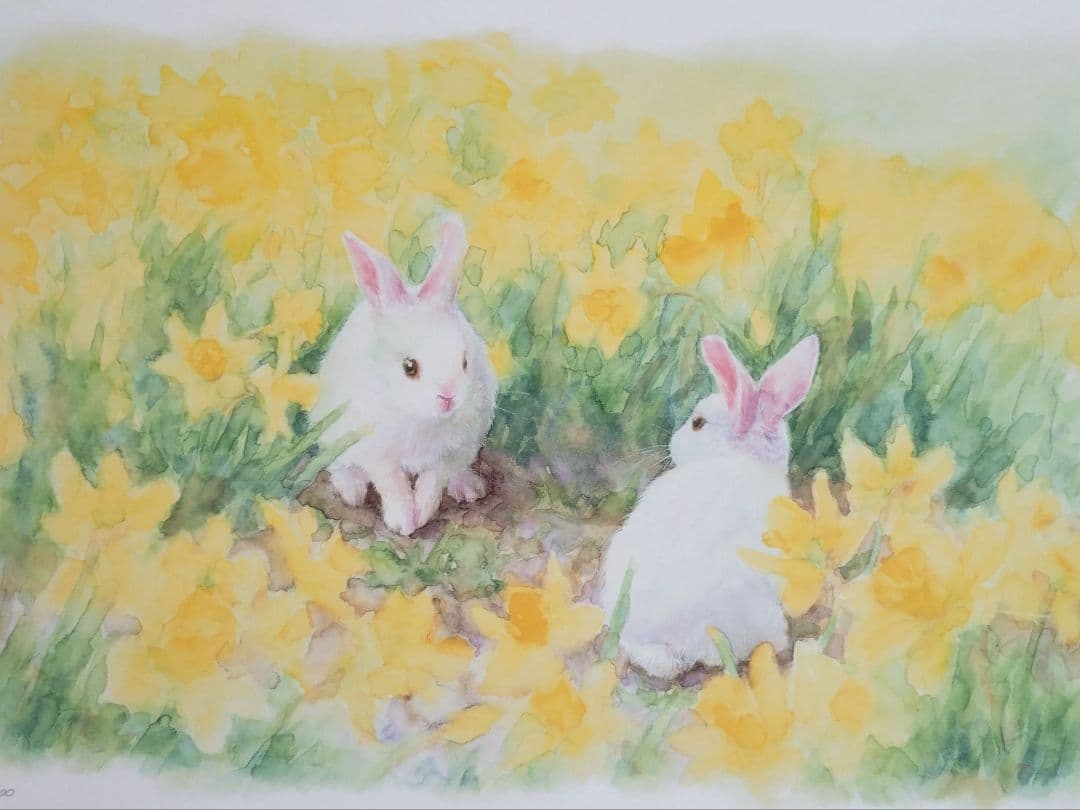 版画 額装品 土田穰 ジクレー 限定品 可愛い ウサギ 黄色い水仙 癒し系アート