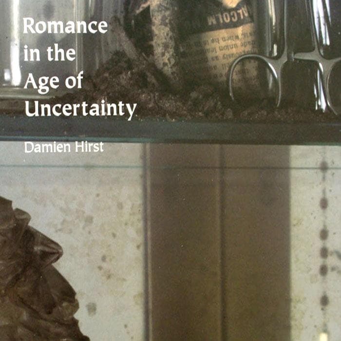 額装済/Romance in the Age ダミアン ハースト/アートポスター