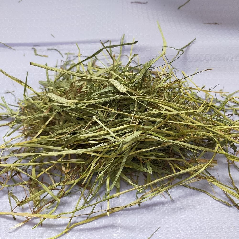 【家計応援価格】US産 チモシー 60kg ２番刈 ソフトSプレミアム