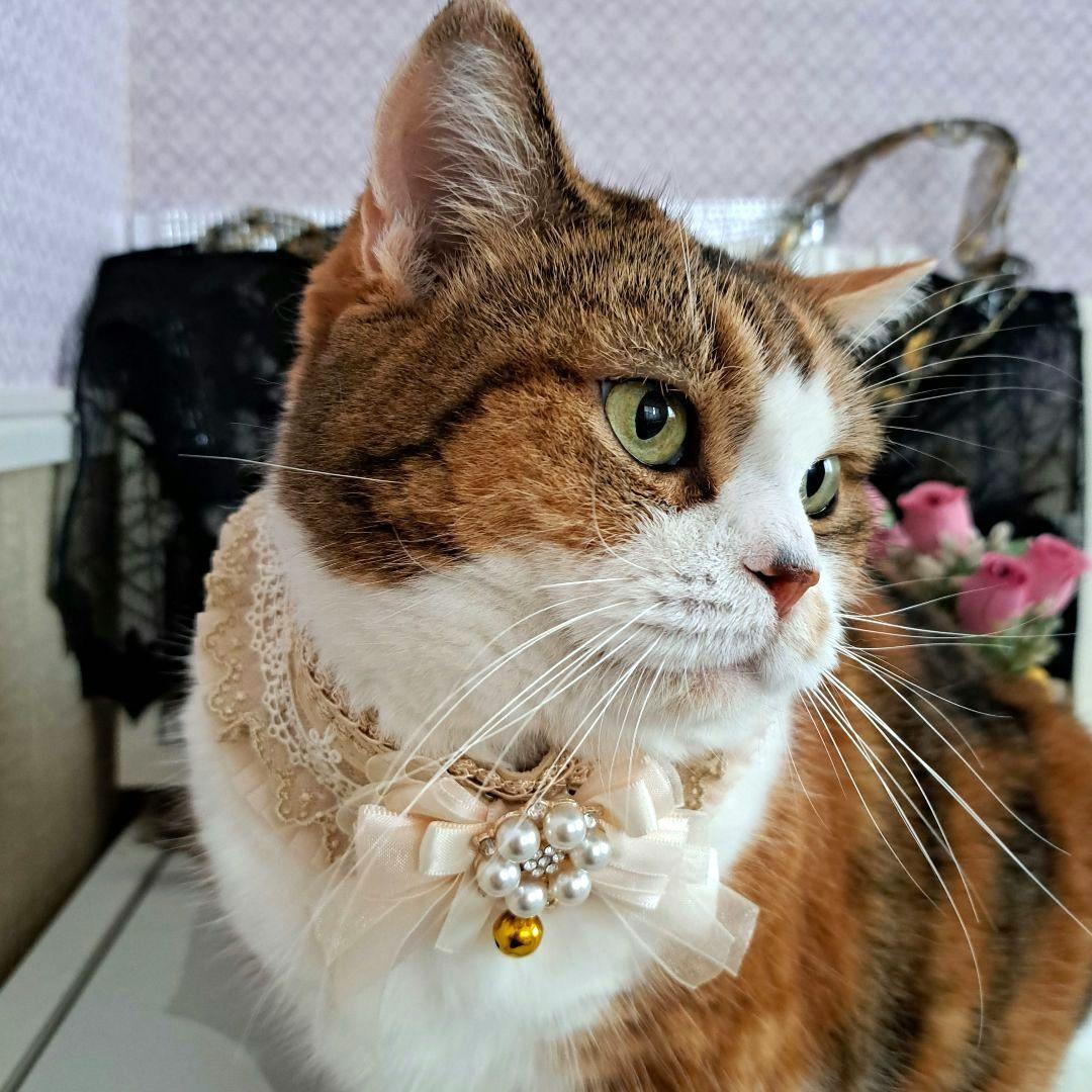短毛ちゃんにも♥️中世ヨーロッパ風チョーカー(ベージュ)わんちゃん猫ちゃん用