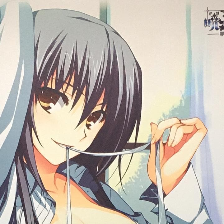 暁の護衛 特大タペストリー 全7種セット 【稀少品】