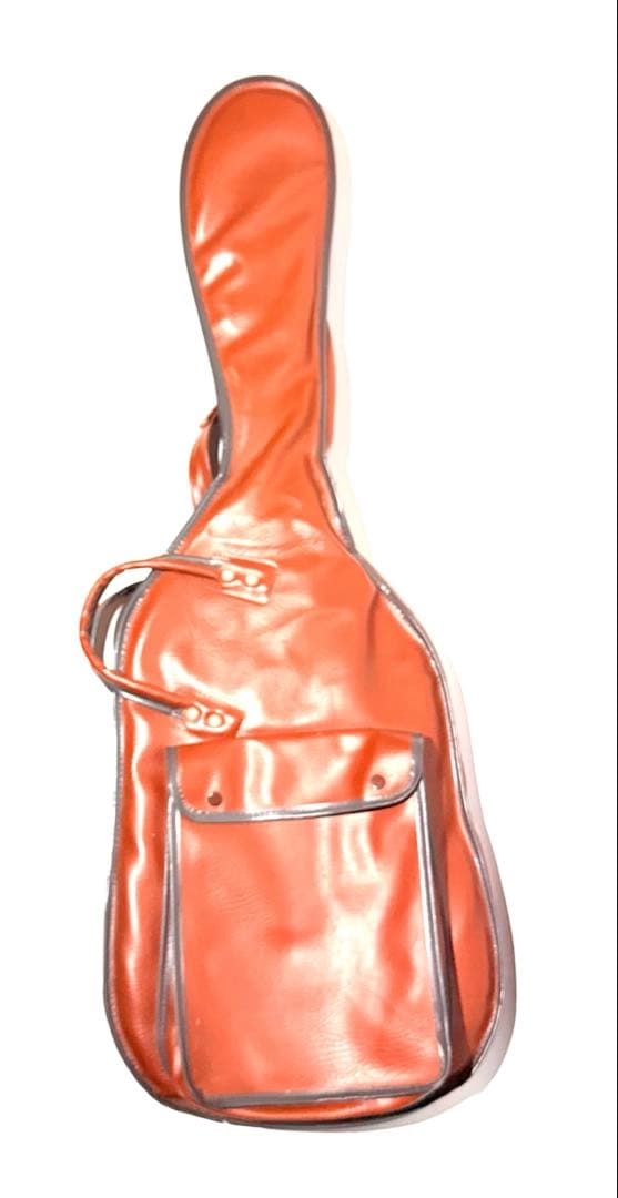 【希少】P-Project 本田毅モデル エレキギター