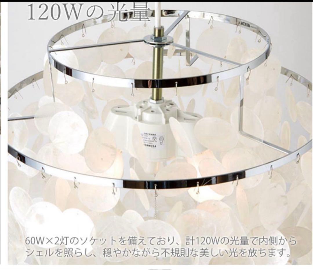 値下げ　ハモサ　カマクラ hamosa 貝殻　シェル照明　ライト