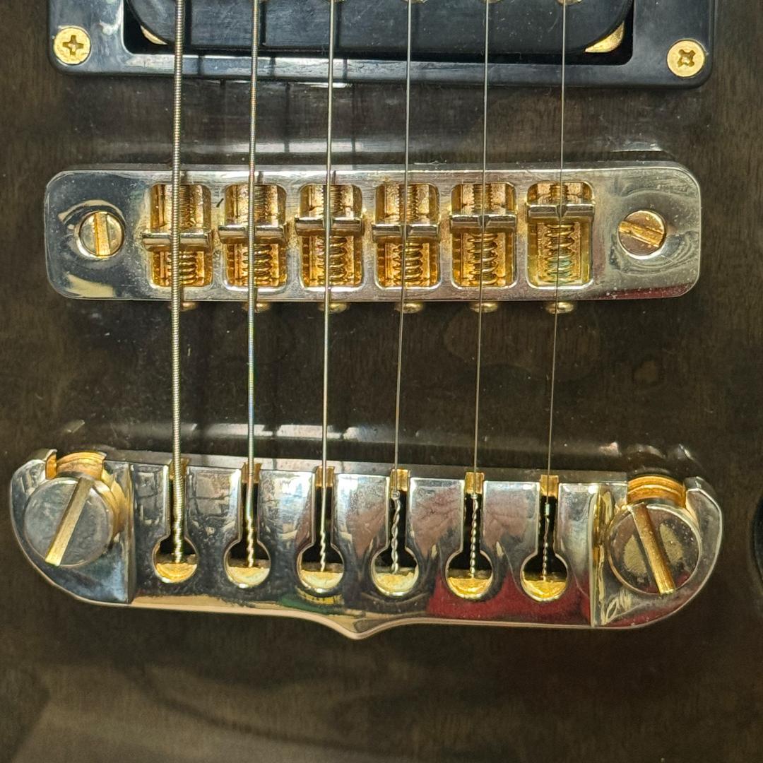 Aria Pro II PE-e 美品 新品弦 張替済