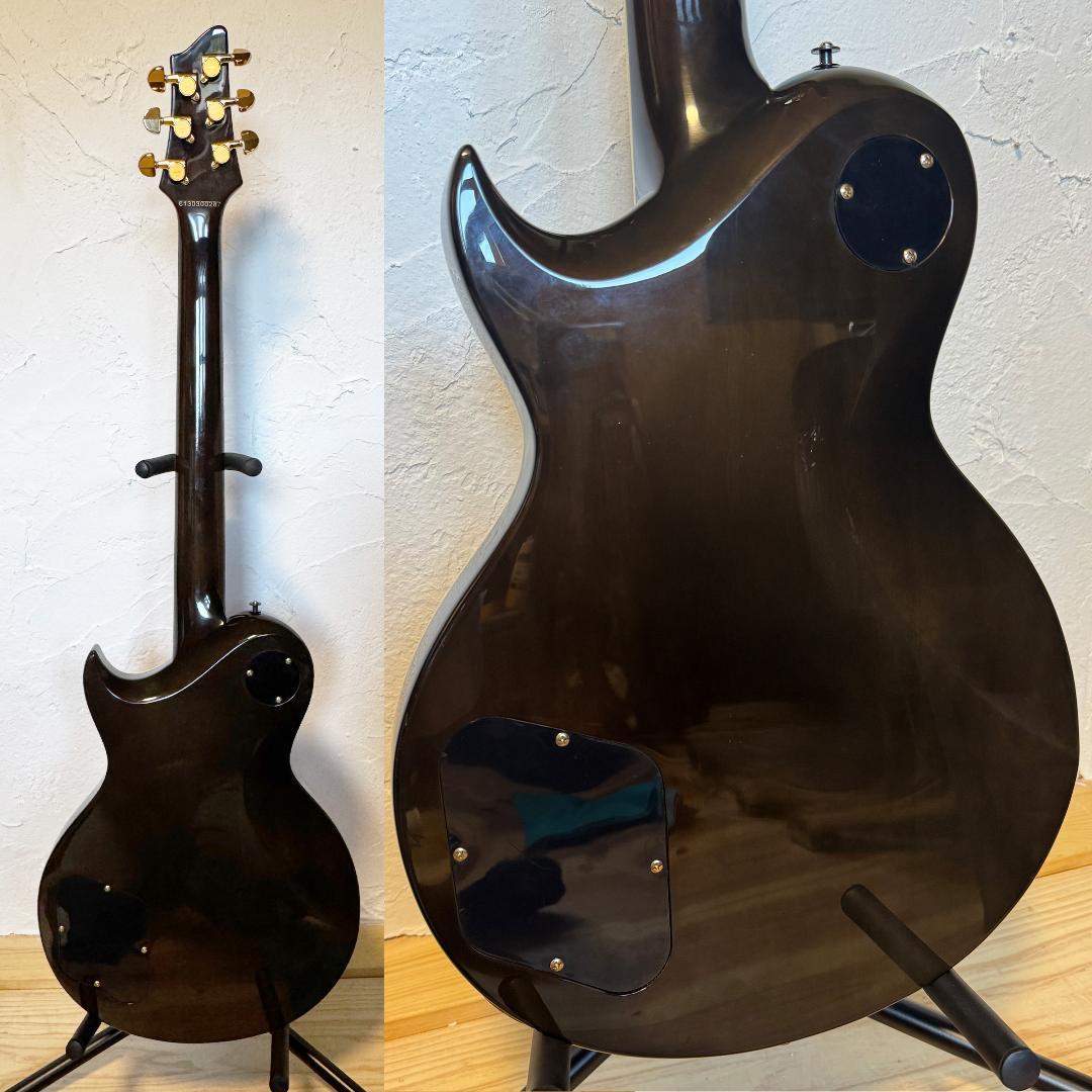 Aria Pro II PE-e 美品 新品弦 張替済