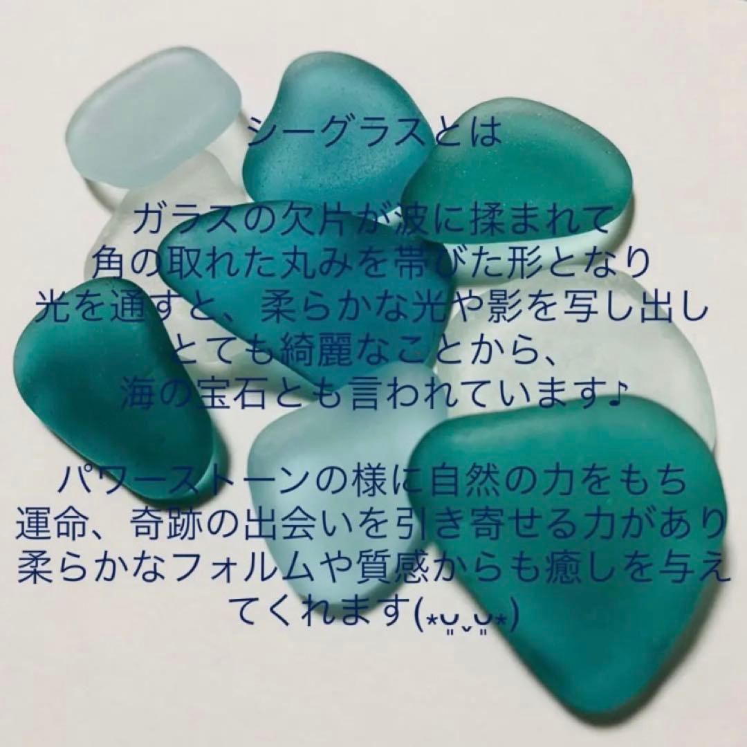 トイプードル シマエナガ トイレ表札 シーグラスアート インテリア雑貨 壁掛け