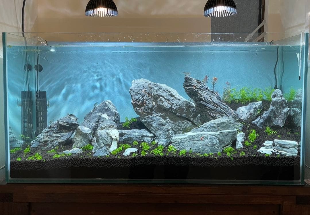 ADA 青龍石　龍王石　青華石　清流石　セット