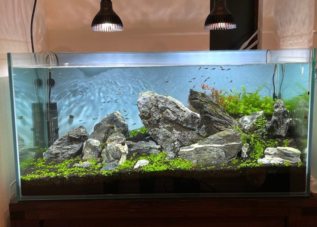 ADA 青龍石　龍王石　青華石　清流石　セット