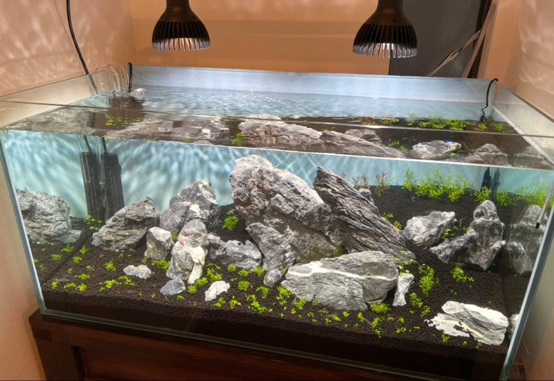 ADA 青龍石　龍王石　青華石　清流石　セット