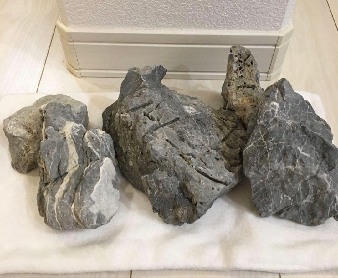 ADA 青龍石　龍王石　青華石　清流石　セット