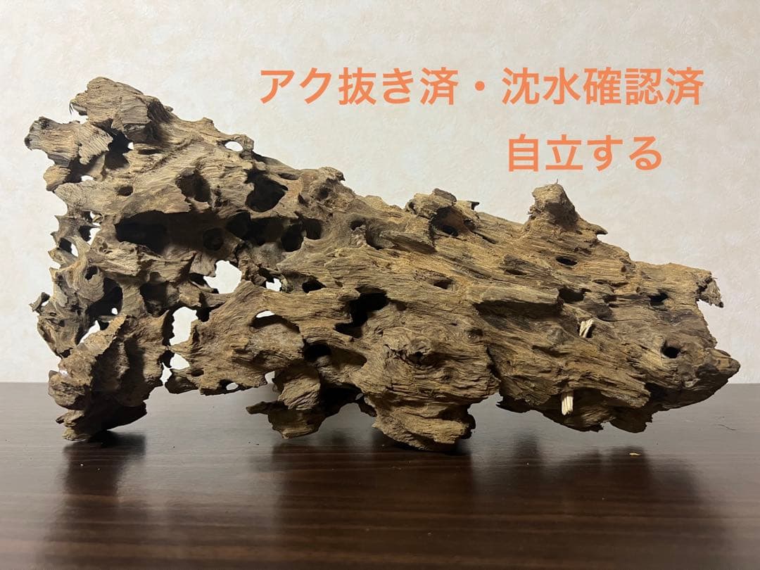 XM-453 流木　マシンガンウッド　アクアリウム　ブランチウッド　沈水確認済