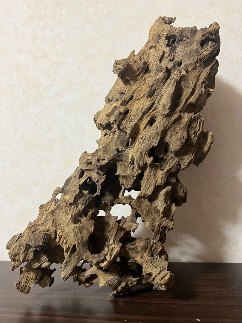 XM-453 流木　マシンガンウッド　アクアリウム　ブランチウッド　沈水確認済