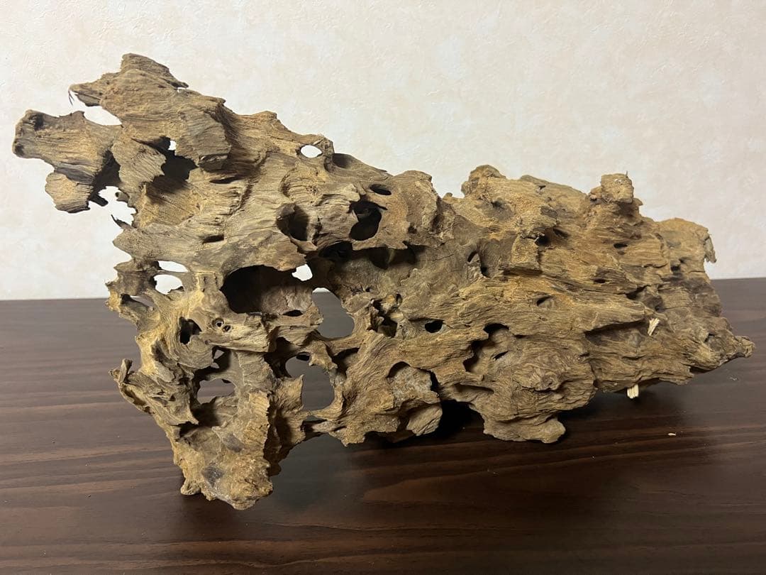 XM-453 流木　マシンガンウッド　アクアリウム　ブランチウッド　沈水確認済