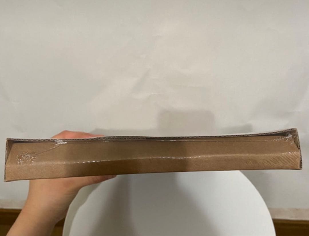 青春の記録　監督版　Blu-ray パクボゴム　ピョンウソク　出演