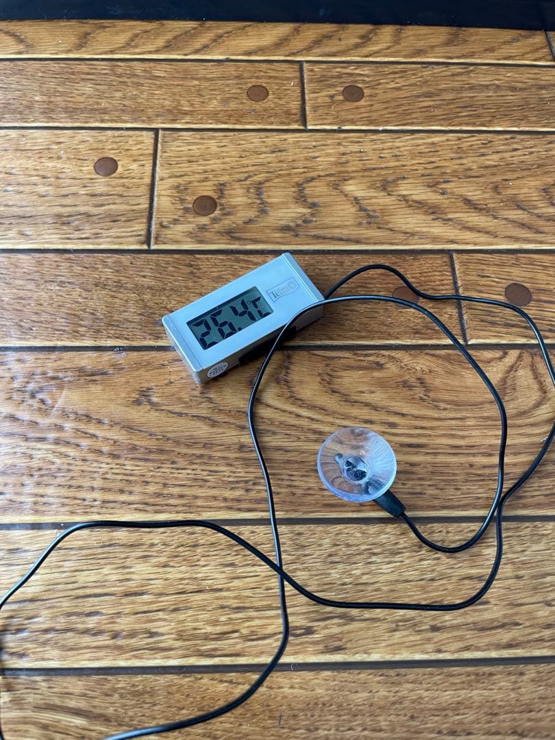 GEX 60cm曲げガラス水槽セット