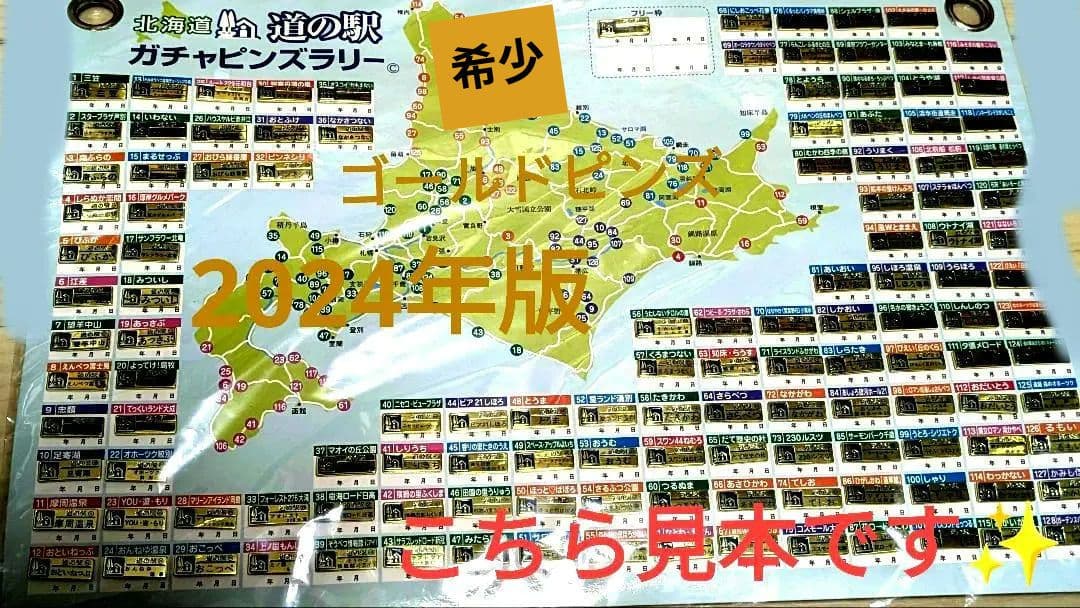 北海道道の駅ピンズゴールドピンズ2024年版 99種類早い物勝ち✨
